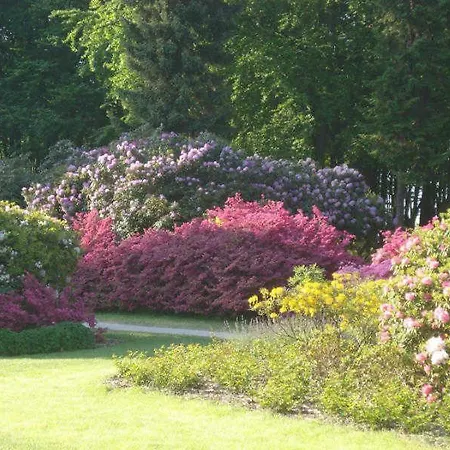 Cecilie - 500 M Bis Zum *