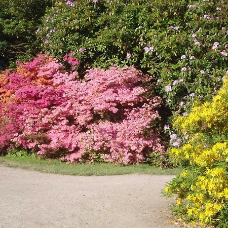 Appartamento Cecilie - 500 M Bis Zum *