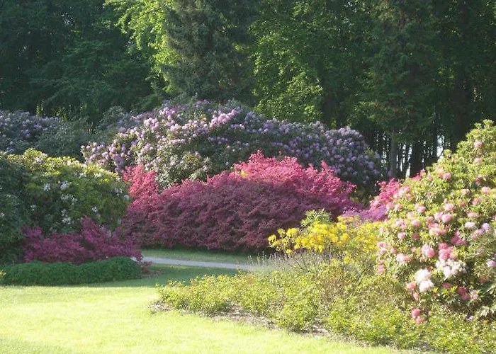 Cecilie - 500 M Bis Zum *